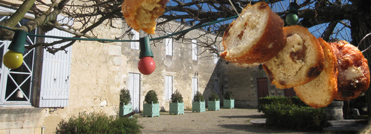 oliebollen